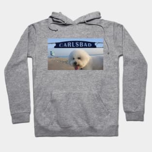 Beachy Bichon Hoodie